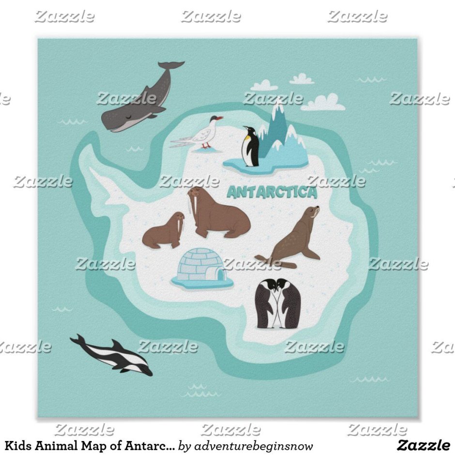Континент Антарктида для детей