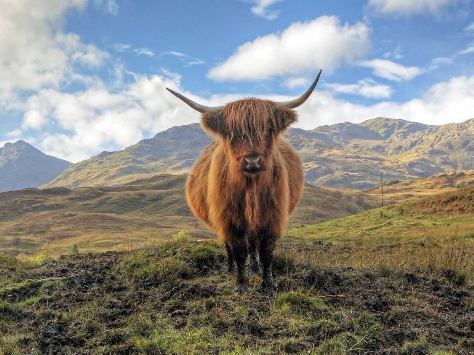 Highlands of Scotland