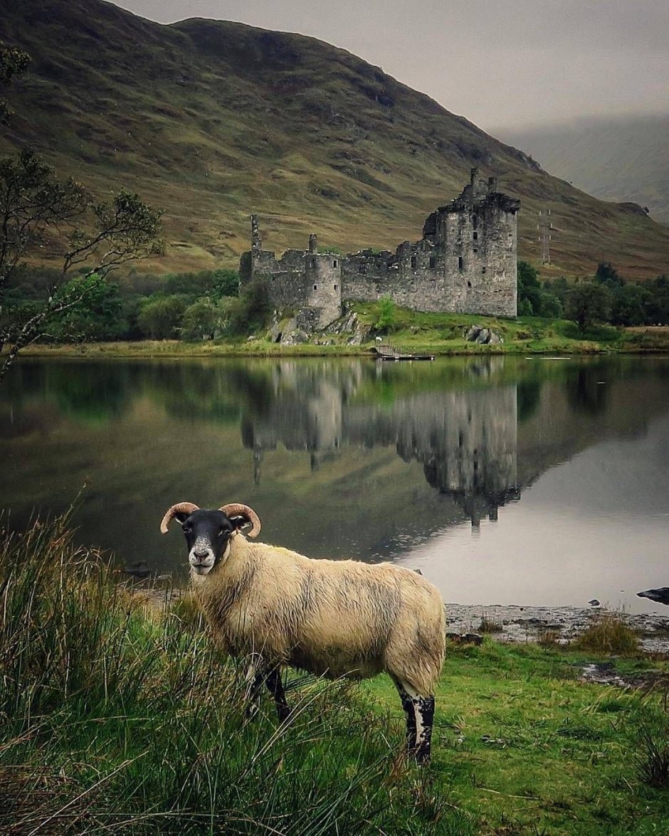 Шотландия Скотланд