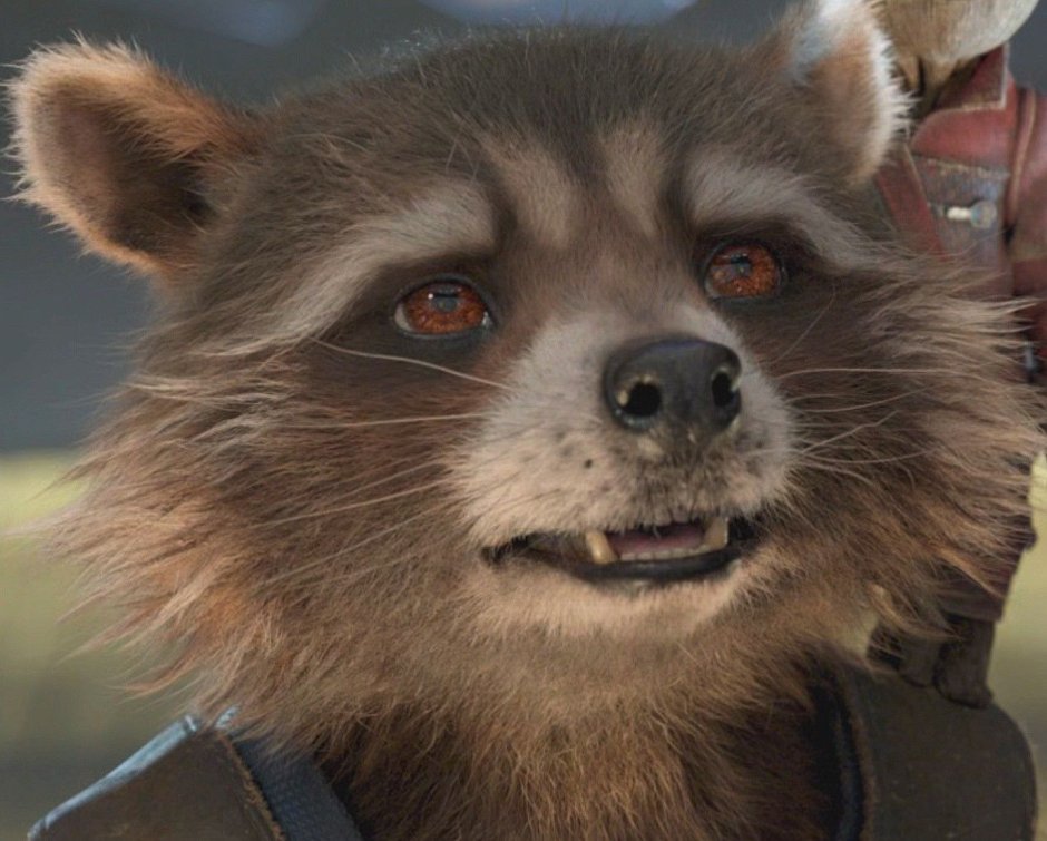 Стражи Галактики Rocket Raccoon