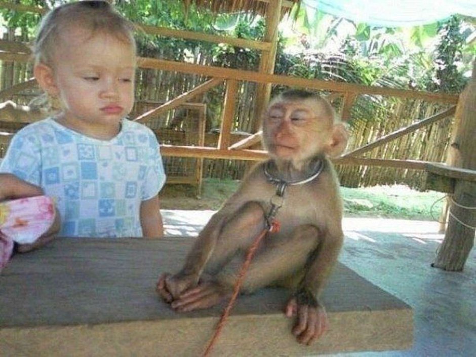 Чупапи Муняни
