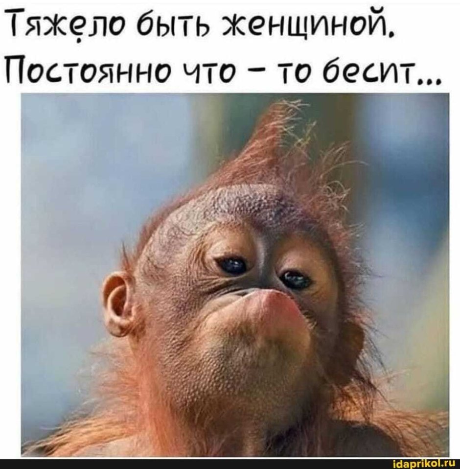 Горилла с факом
