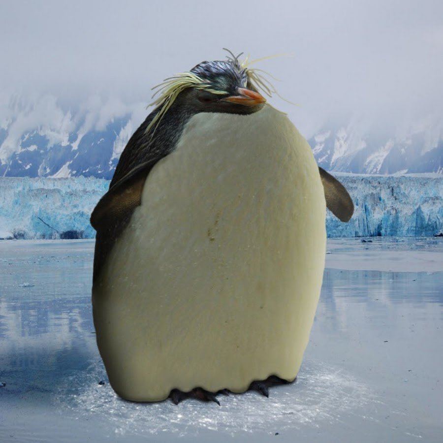 Жирный Пингвин