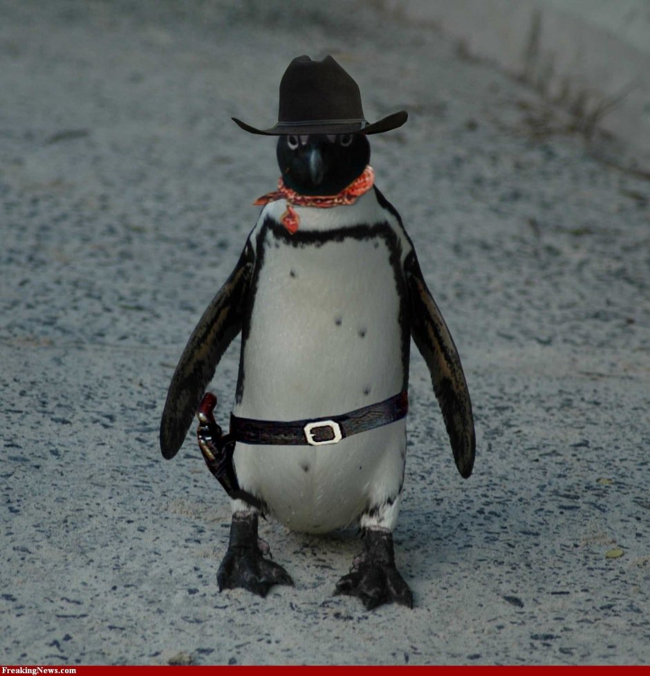 Смешные пингвины
