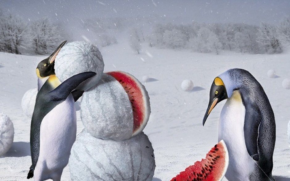 Доброе утро Пингвин