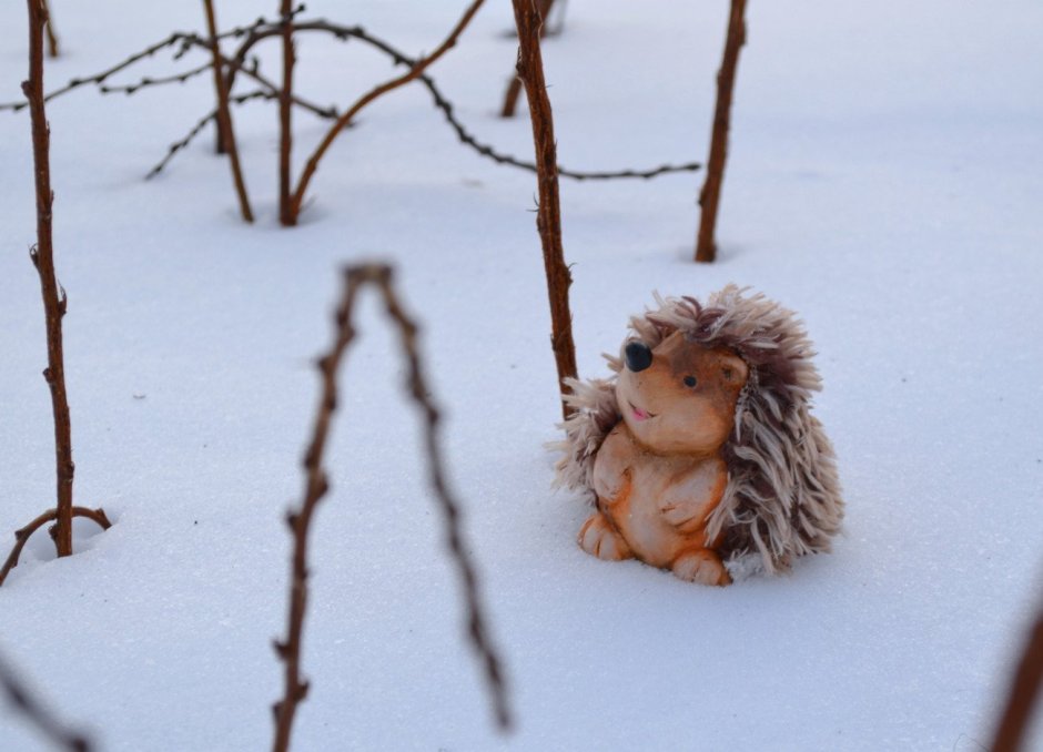 Еж в снегу