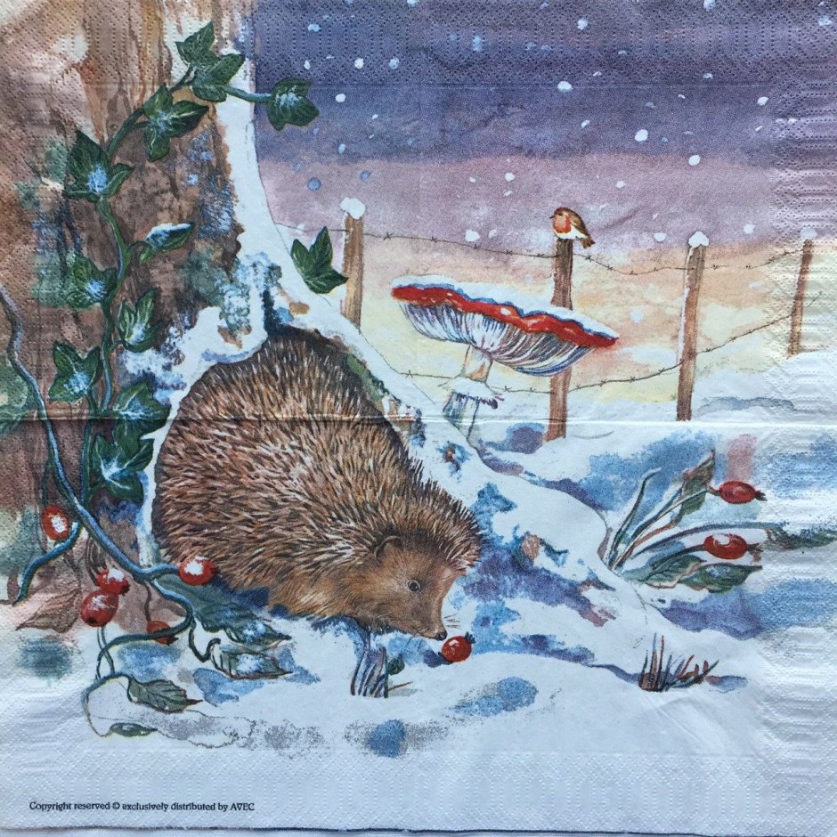 Красивый Ежик