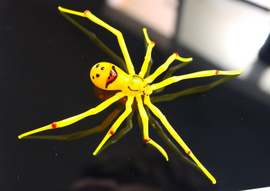 Theridion grallator