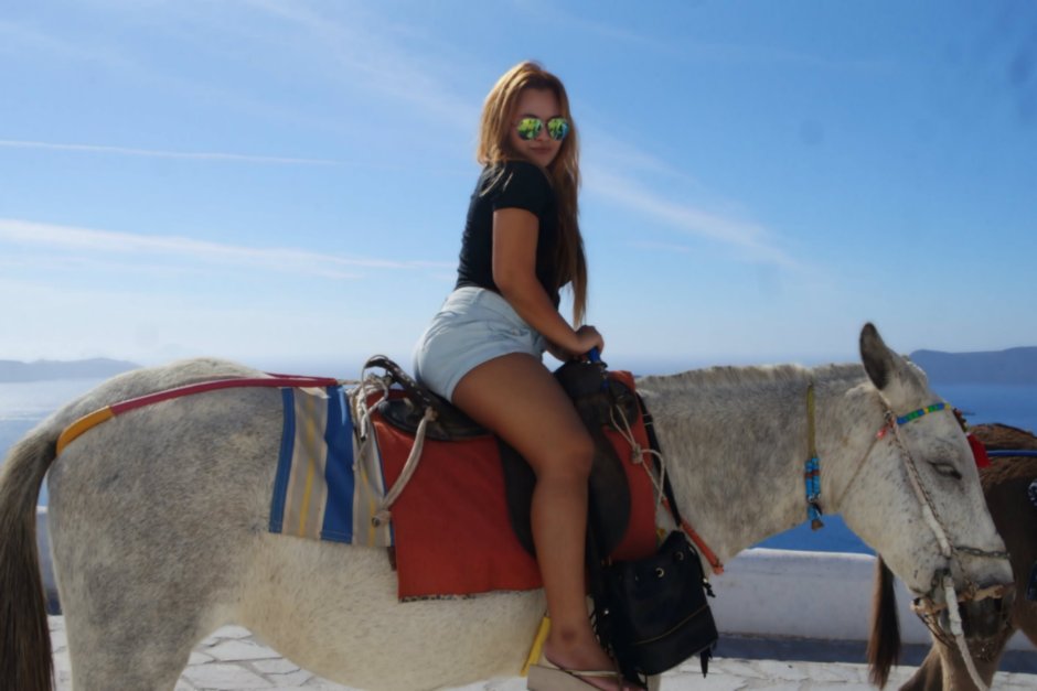 Злая лошадь