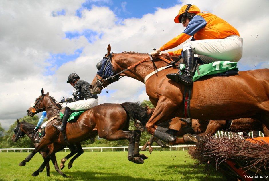 Конь Анники Шлеу