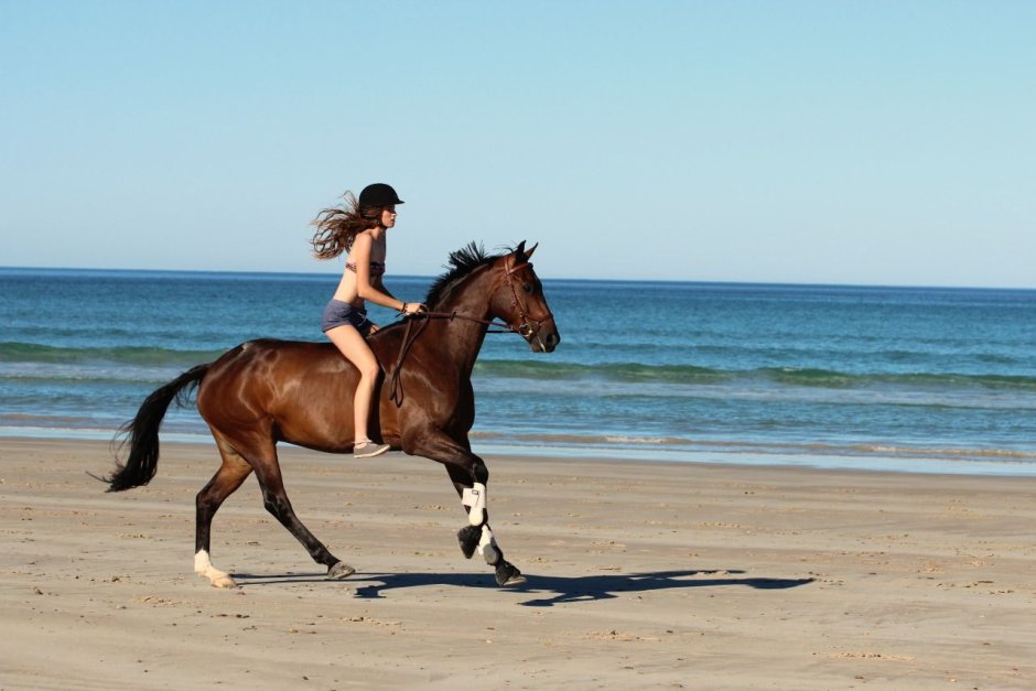 Верховая езда на лошади галопом