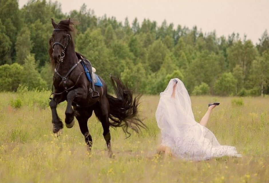 Конкур прыжок