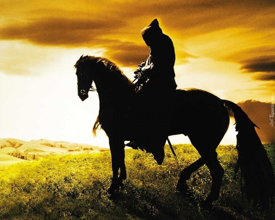 Коня на скаку остановит юмор