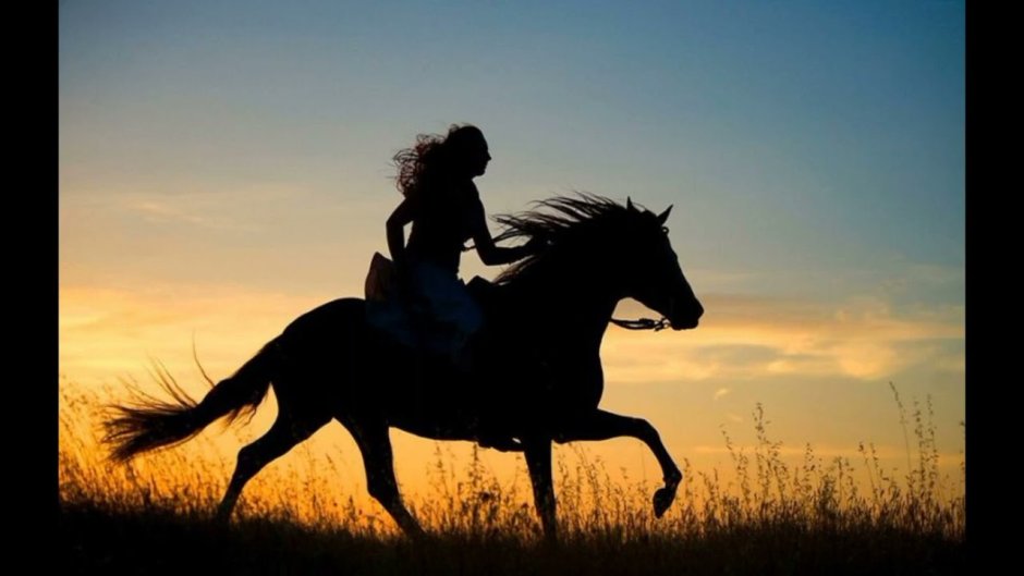 Всадник в степи