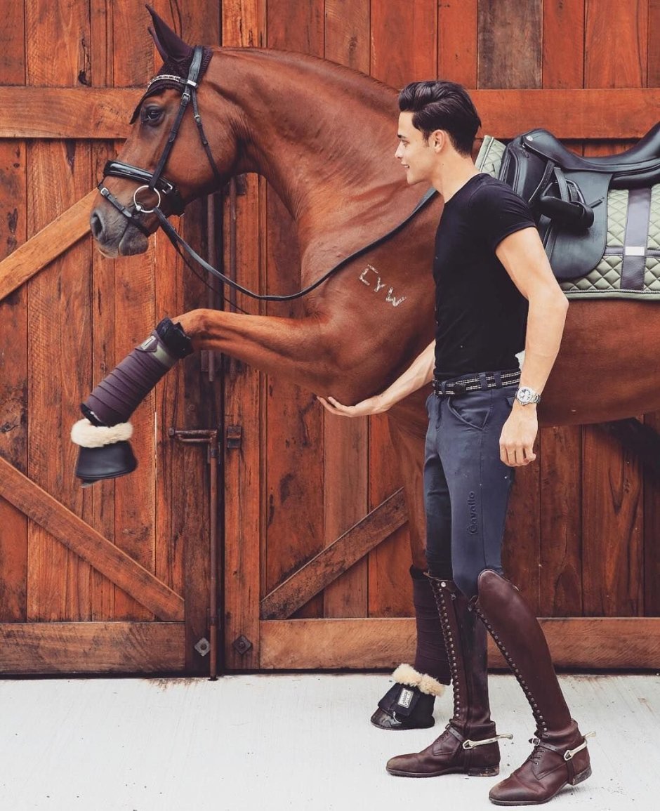 Красивый мужчина на лошади