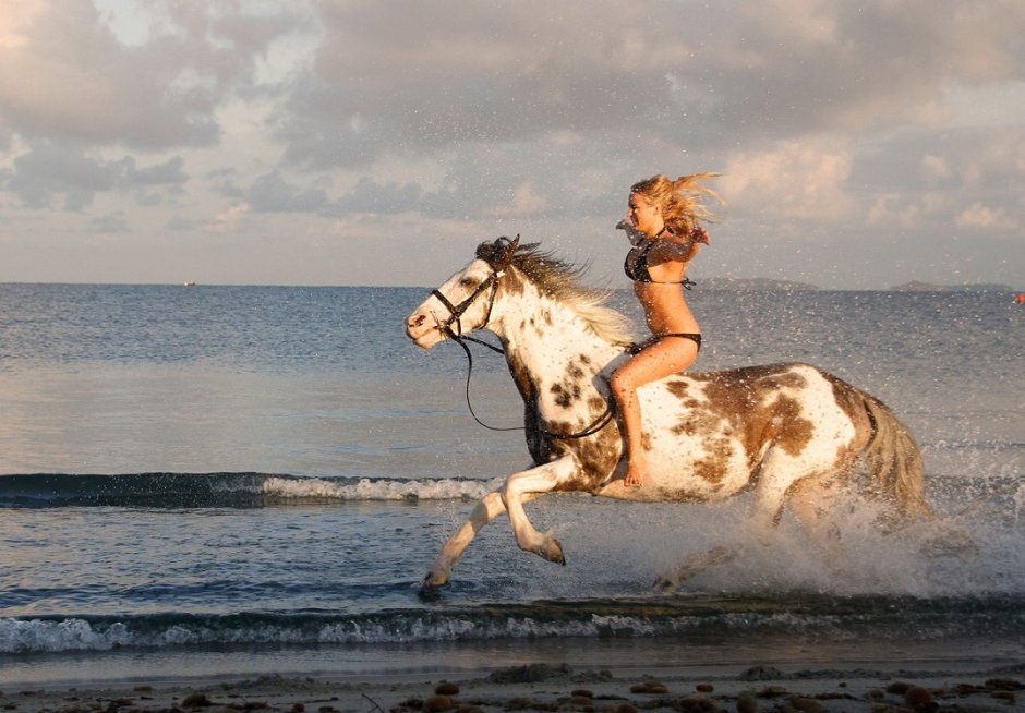 Лошади и море