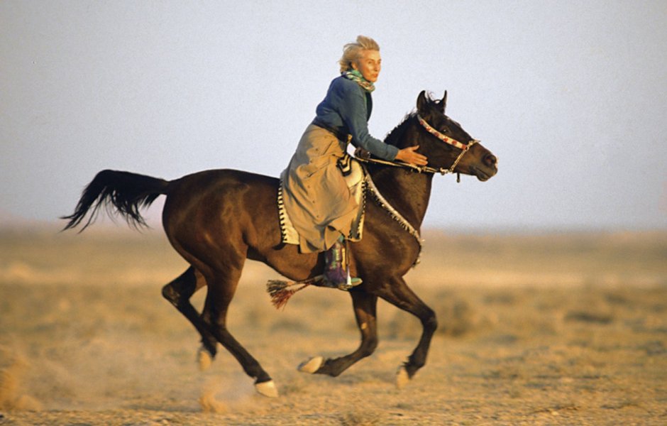 Мария Базилевич конный спорт