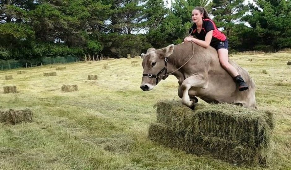 Девушка на коне в поле