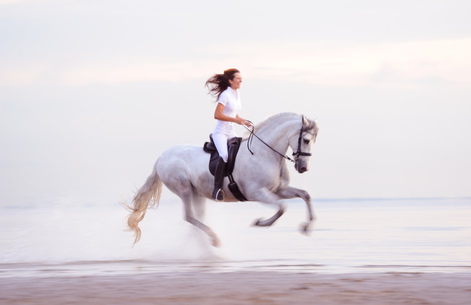 Верхом на коне