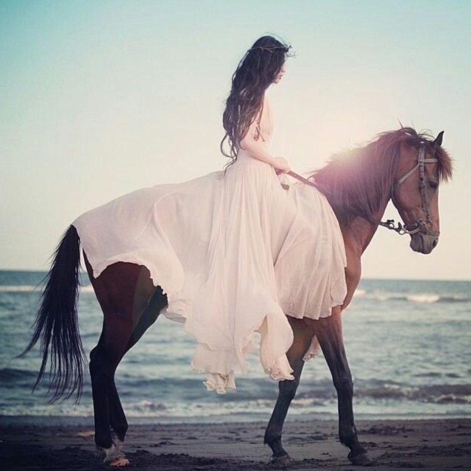 Девушка на лошади со спины