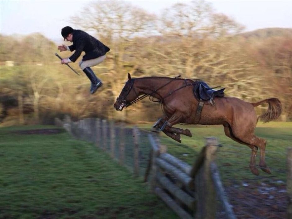 Человек на лошади