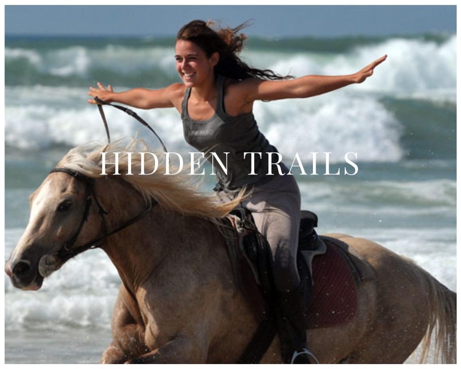 Девушка на коне