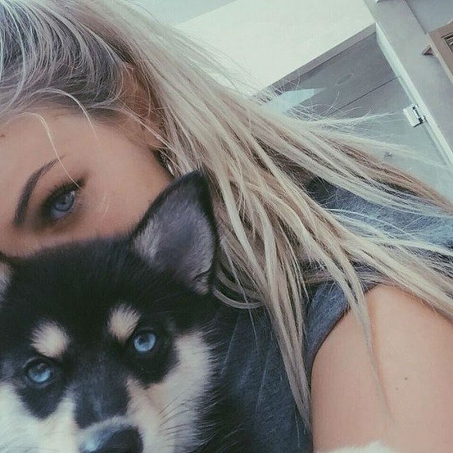 Хаски один глаз голубой другой Карий