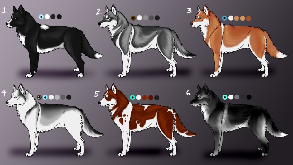 Husky палитра