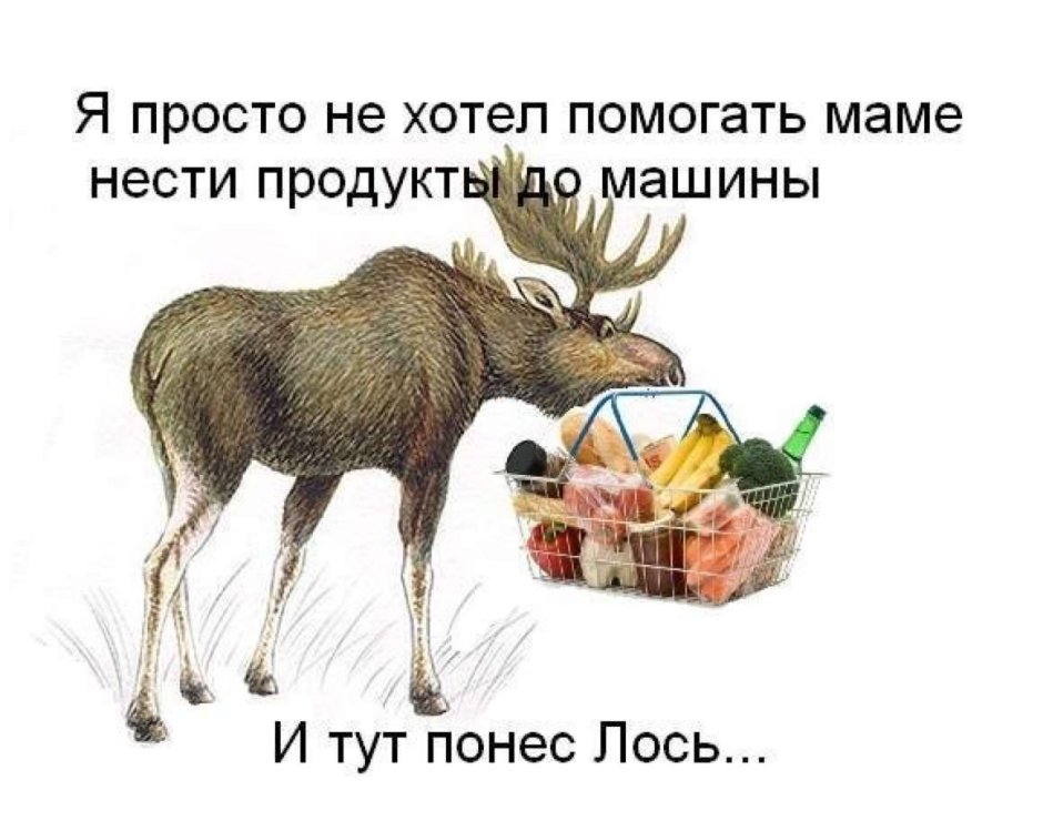 Рогоносец картинки