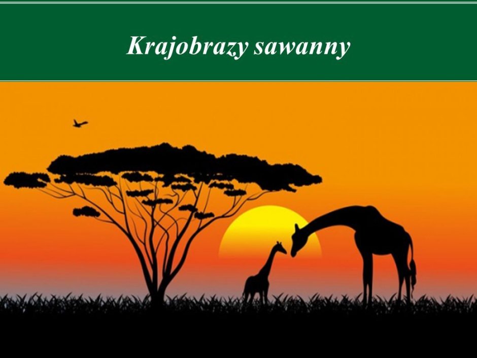 Флаг саванны