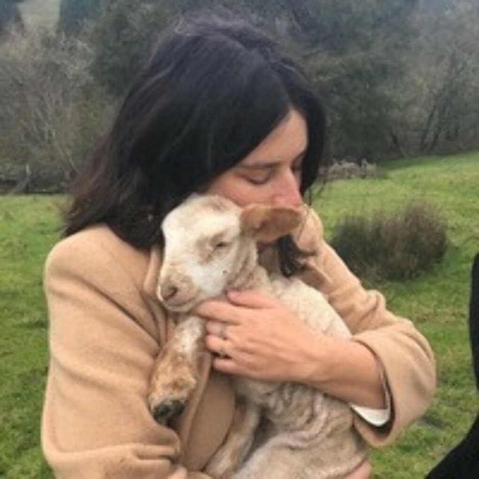 Животные Инстаграм