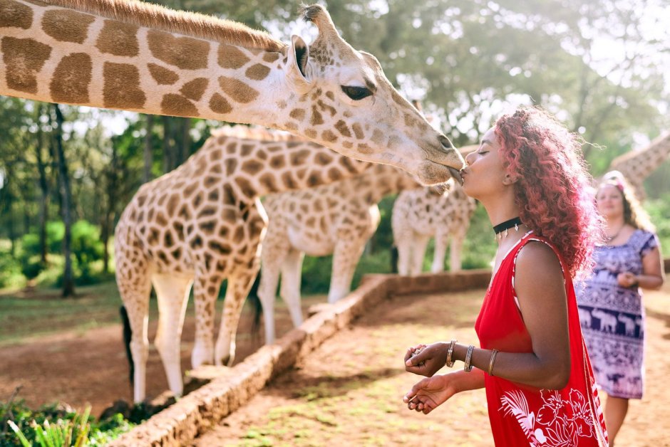 Занзибар Жирафы