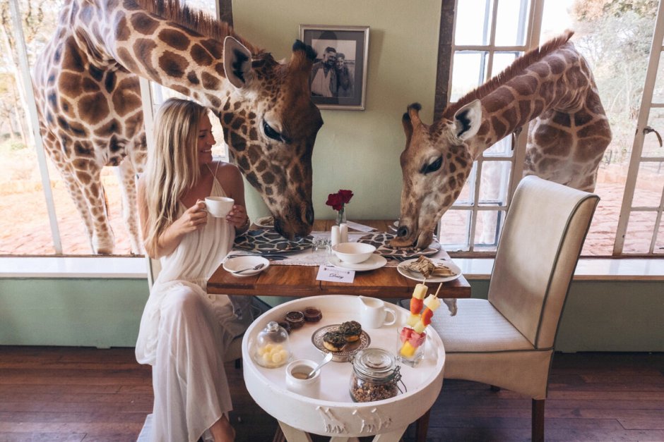 Giraffe Manor Кения