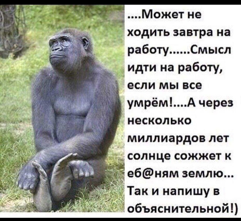 Самолайк Лев