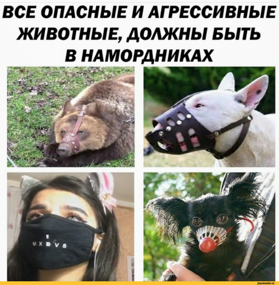 Обезьяна в клетке