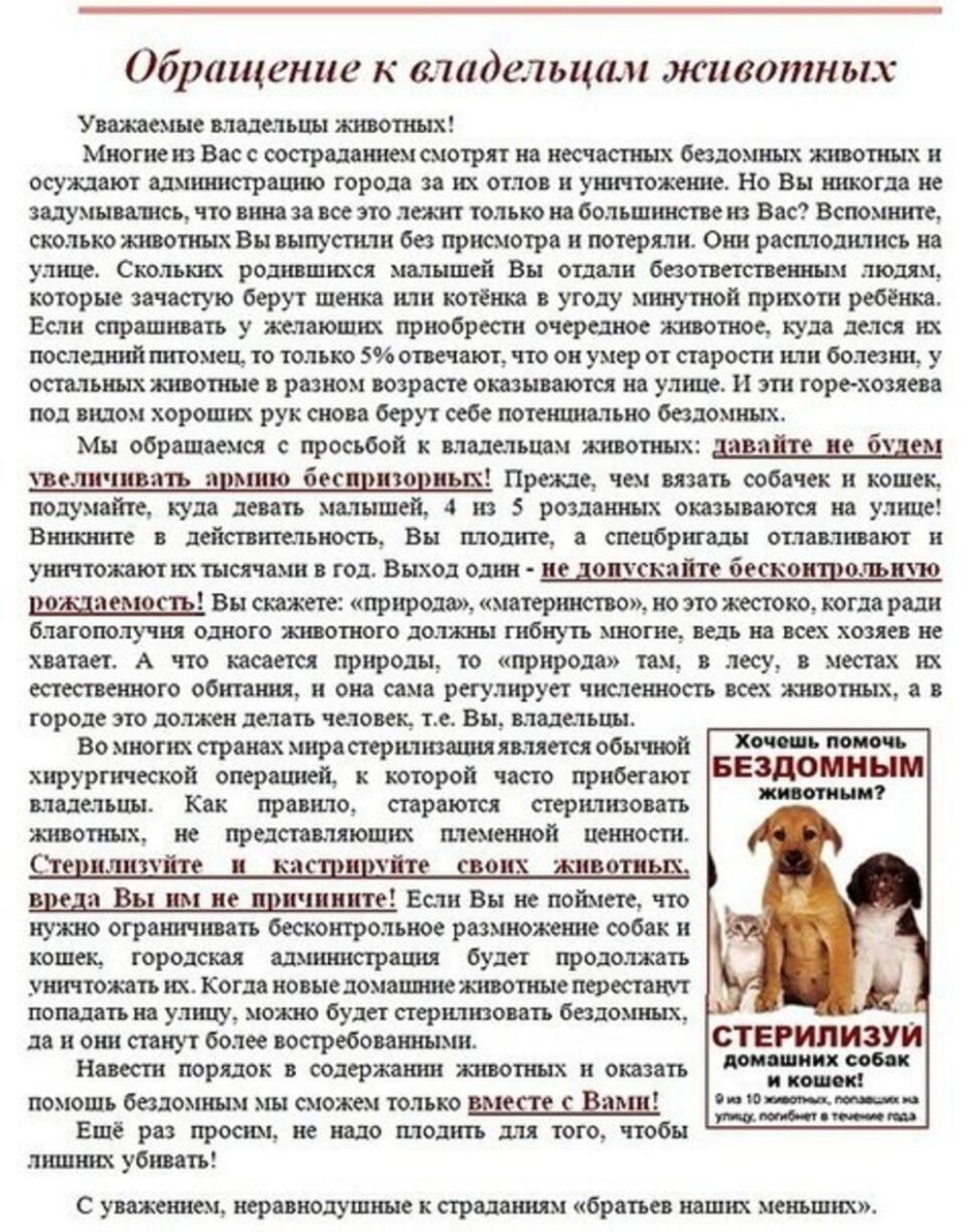 Морда обезьяны