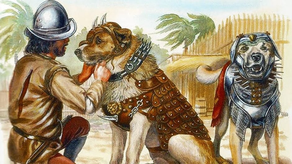 Боевые псы конкистадоров