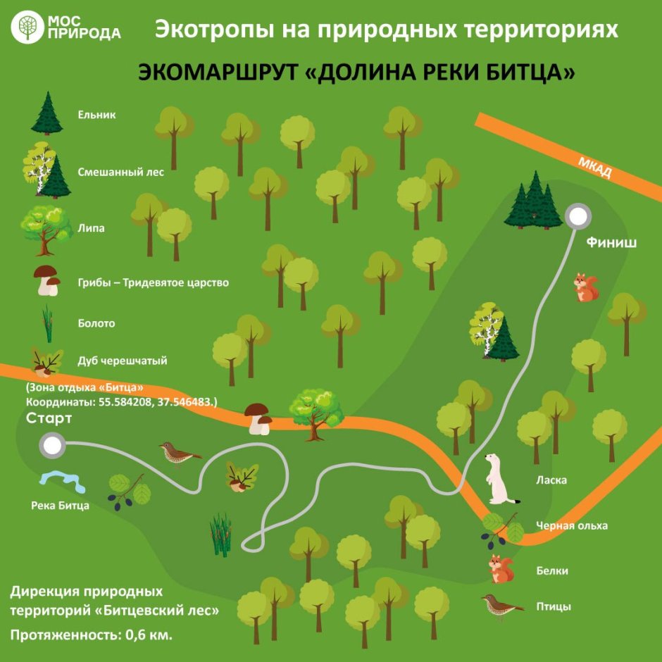 Экотропы в Битцевском парке