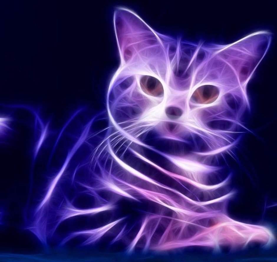Рихардс Донскис Чеширский кот