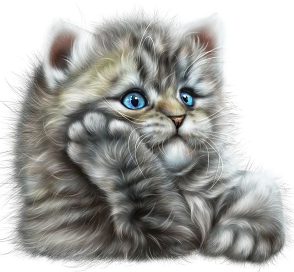 Котик с цветочком