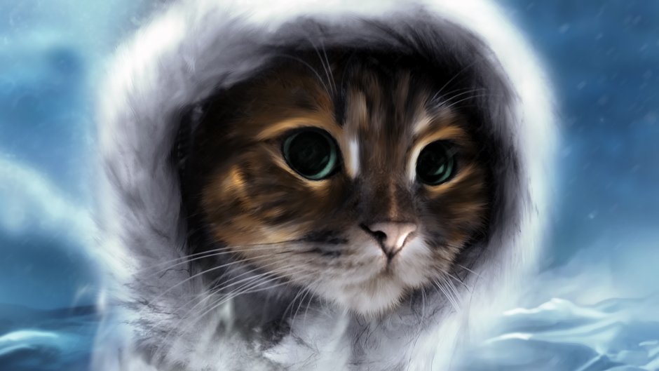 Котята Эстетика