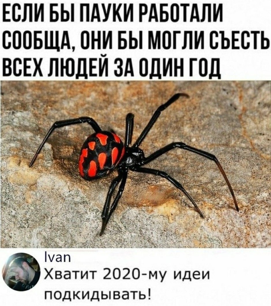 Каракурт Крымский