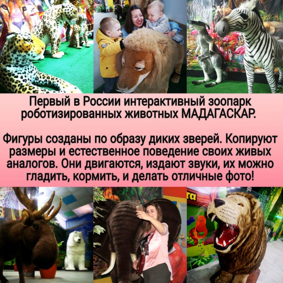 Цинжи-дю-Бемараха каменный лес Мадагаскар