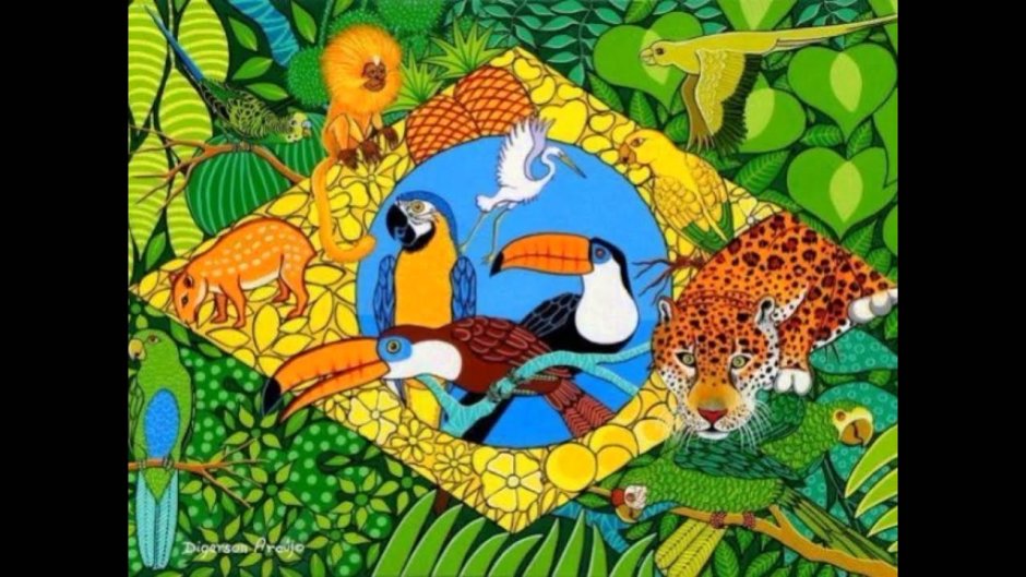 Бразилия картины