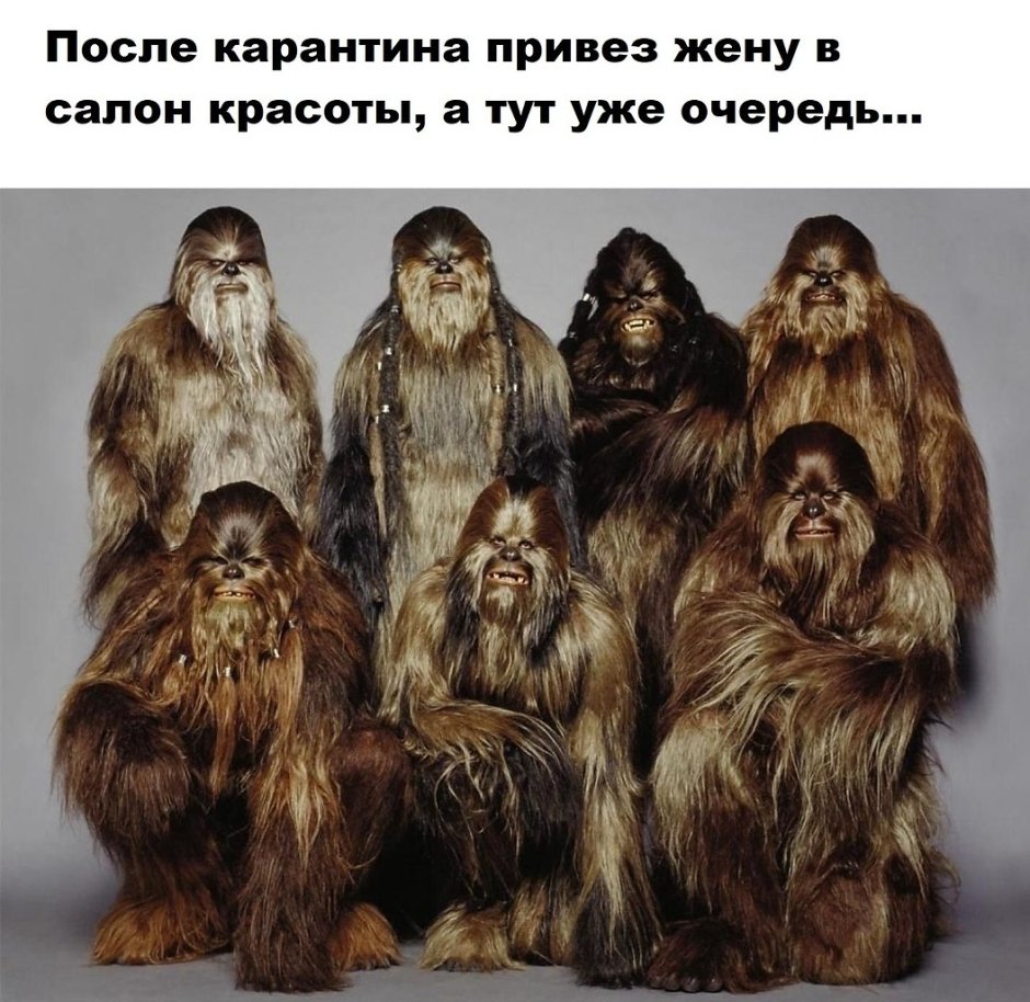 Очередь в парикмахерскую прикол