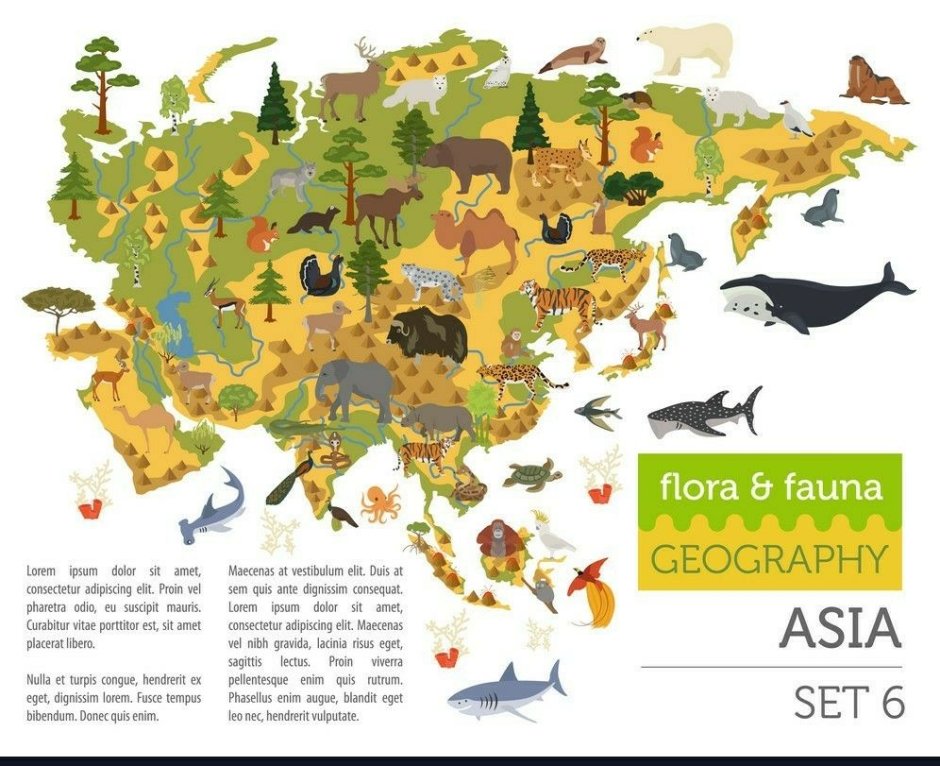Флора и фауна Евразии на карте