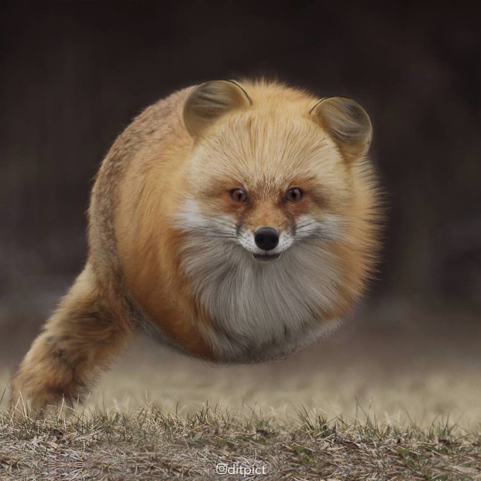 Korean внешность boys