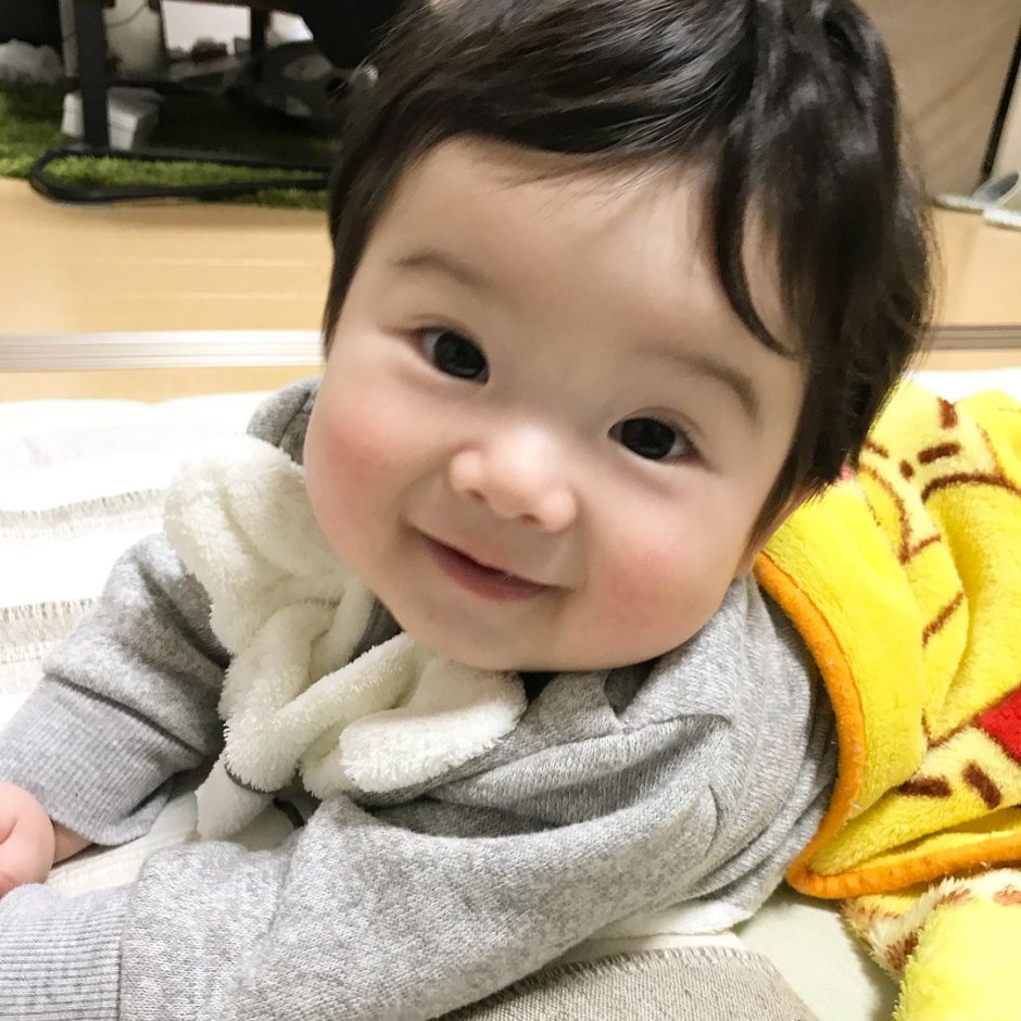 Экзотическая короткошерстная Снупи