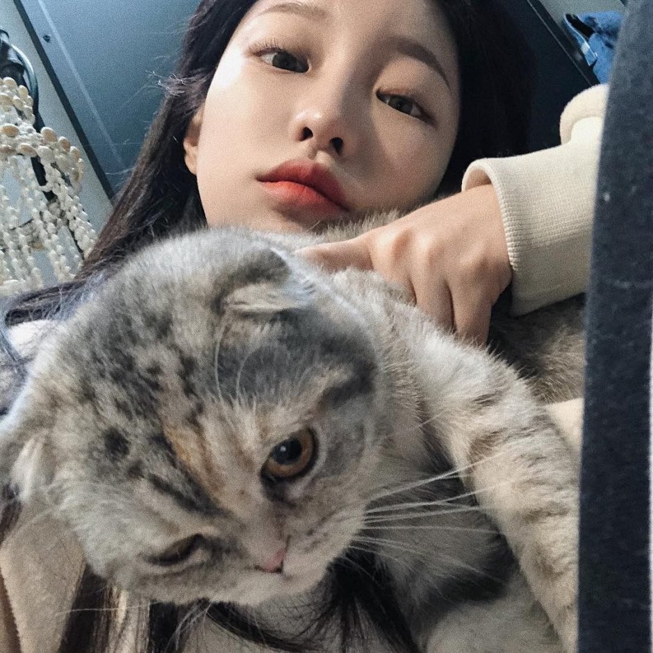 Кот с ушами зайца