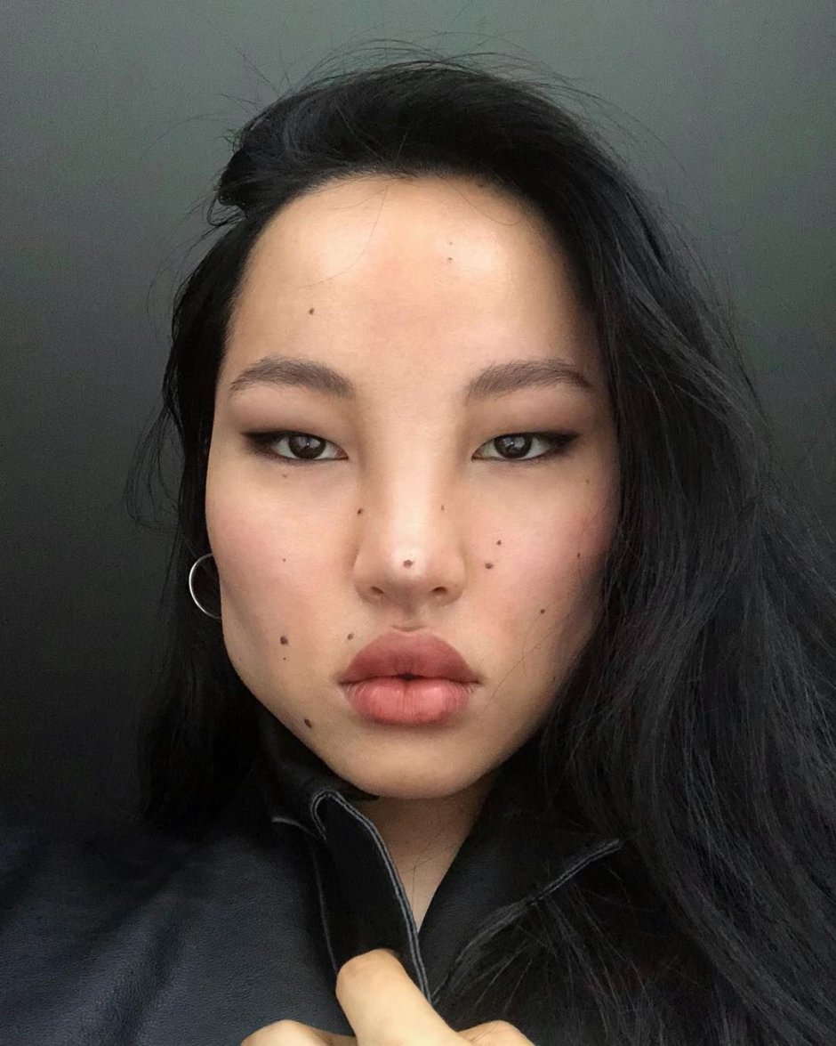 Японская порода собак сиба-ину